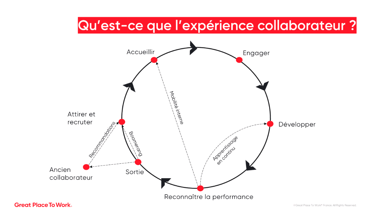 schema experience collaborateur