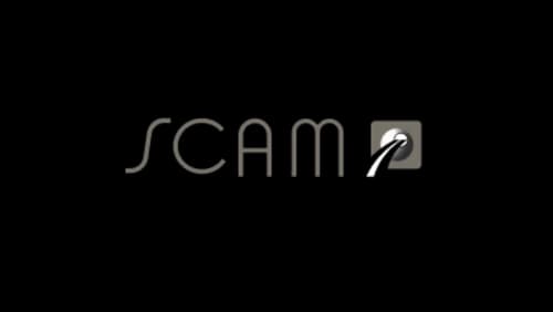 logo scam tp gris